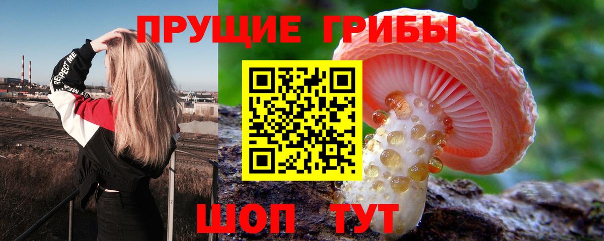 Галлюциногенные грибы GOLDEN TEACHER  Вход с VPN  Анапа  Псилоцибиновые грибы ЛСД 