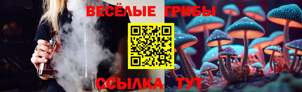 Псилоцибиновые грибы GOLDEN TEACHER Анапа