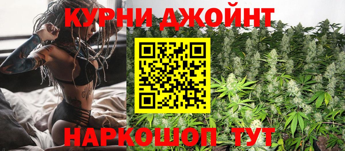 Конопля конопля Анапа
